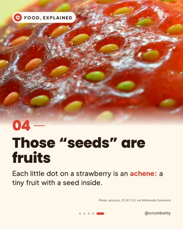 Instagram post: a close-up of a strawberry and the headline “Those seeds are fruits”: each little dot is an achene, a tiny fruit with a seed inside