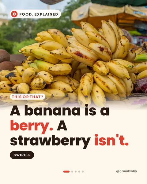 Carousel cover: bananas at a market stall, “A banana is a berry. A strawberry isn’t.”